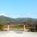 송이식당 이미지