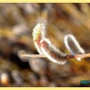 예원모텔 이미지