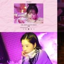 개와고양이 이미지