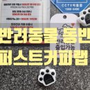 도봉-도봉-서울도봉-2087 이미지