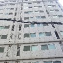 하단동1006 이미지