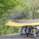 매화2길 이미지