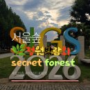 [서울숲] 서울숲 국제정원박람회와 시크릿포레스트