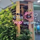 거창사과테마파크 전시실 | 거창 사과테마파크, 백설공주 체험에 아이스크림 만들기까지