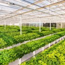 (주)코리아팜 이미지