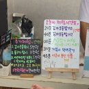 서수원로 | [평타육아] 아이와 수원 포시즌 힐링팜 농장체험 후기