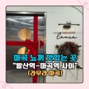 발산역 | 마곡 뇨끼맛집 발산역 라우라 방문 후기