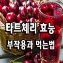 타트체리의 효능과부작용,먹는 법.... 이미지