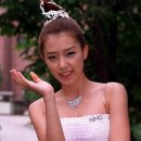 채정안 카카오 검색결과