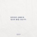 하루두피 둔산점