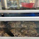 시장횟집 이미지