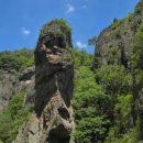 왕버들로 이미지