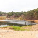매화둠벙마을영농조합법인 | [충청남도 태안군] 컨츄리 로드 커피