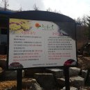 전하울국화황토숯불가마 이미지