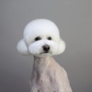 멍분의 멍 이미지