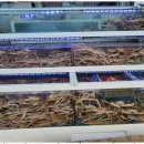 동해대게직판장 이미지