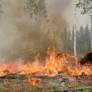 이상백농장 이미지