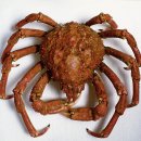 제주해양동물박물관 이미지