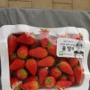 가람농장 이미지