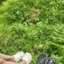 무등파크관광호텔 이미지