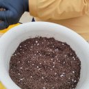 백합작은도서관 이미지