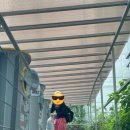 아잇츄 이미지