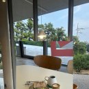 비바도기 | 제주 조천읍 동쪽 카페 샌드위치가 맛있는 세실｜@cesil_jeju