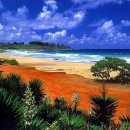 노을진바다 이미지