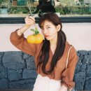 화산수지 이미지