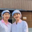 법인헬로팜스