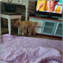 더큐브펜션 이미지