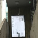 곽미용실 - 동구 | 곽미용실