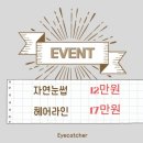 브로우캐쳐 네이버블로그