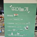 양평자동차공업사 | 양평 애견 운동장 뛰어놀개