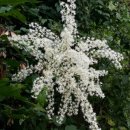 작은농원 이미지