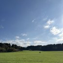 호프목장 이미지