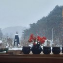 샘물하얀집 이미지