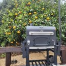 제주귤빛스테이 이미지