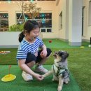 미래골프클럽 이미지