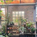 더힐링카페 이미지