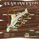 솔향반점