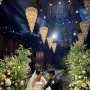 케이스텔라 | 대구파라다이스웨딩 스텔라홀 첫타임 + 2027 견적오픈