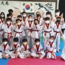 천마태권도 이미지