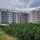 돈키호테공인중개사사무소 이미지