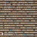 거대건설(주) | 데미안 허스트 : 진실은 없어 그러나 모든 것은 가능하지 / 평일 방문 후기 / 국현미 주차 _ 20260409