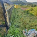 황칠나무집 이미지