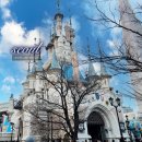 나나티켓월드 이미지