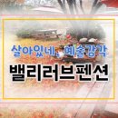 밸리러브 이미지