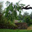 동백산방 이미지