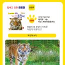 자연동화 이미지